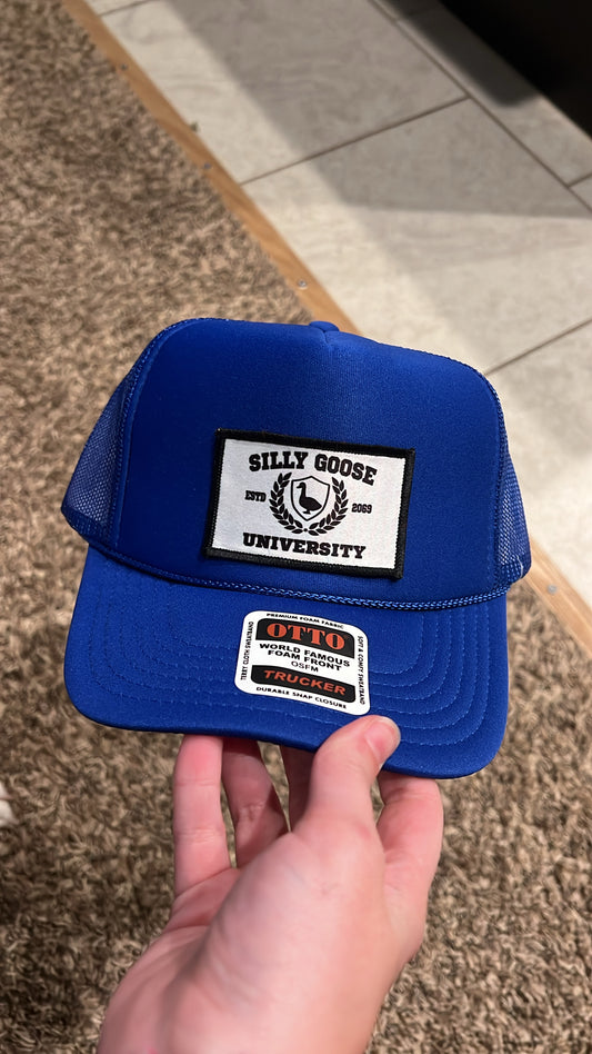 Silly Goose Hat
