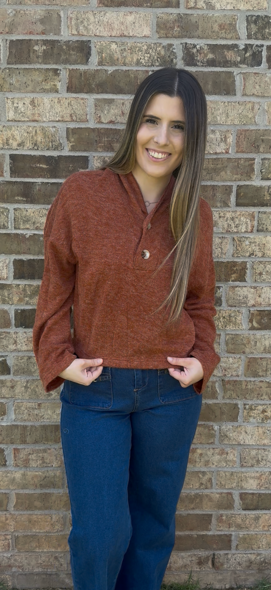 Brick Cozy Cardi Sweater