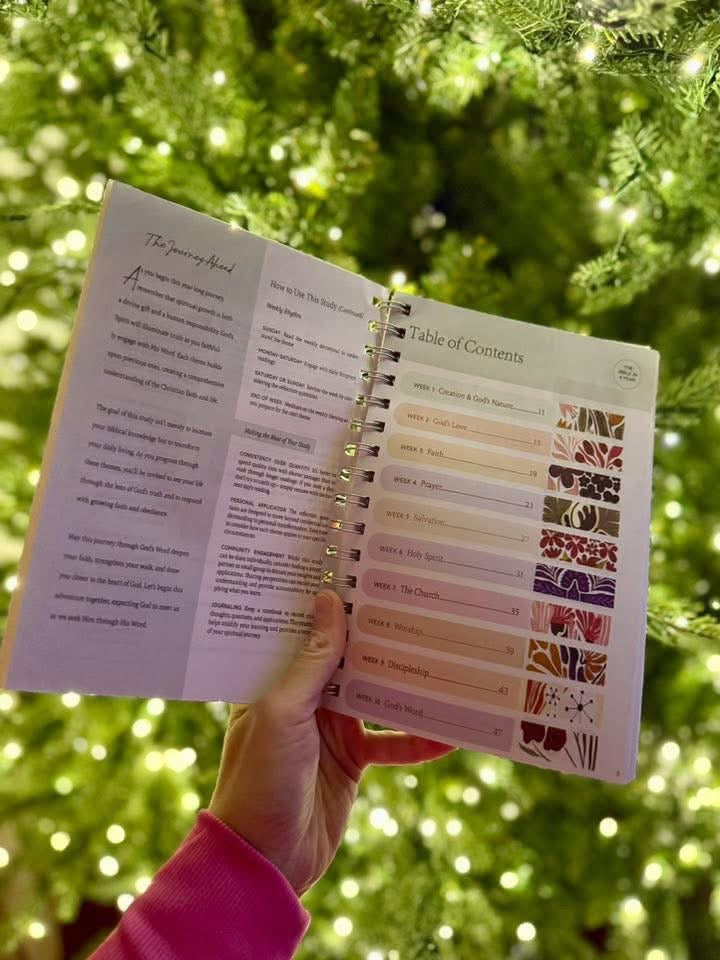 Bible In A Year